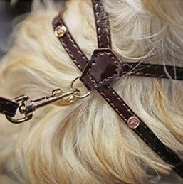 WAG N WALK DESIGNER ΔΕΡΜΑΤΙΝΗ ΚΛΕΙΣΤΗΡΙΑ ΓΙΑ ΠΑΙΧΝΙΔΙΑ & ΚΟΥΤΑΒΙΑ ΣΚΥΛΟΥΣ