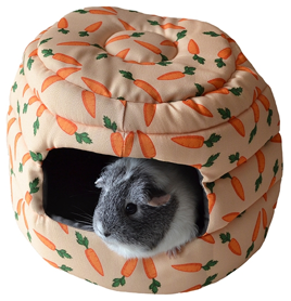 2 IN 1 CARROT "BEEHIVE" BED
