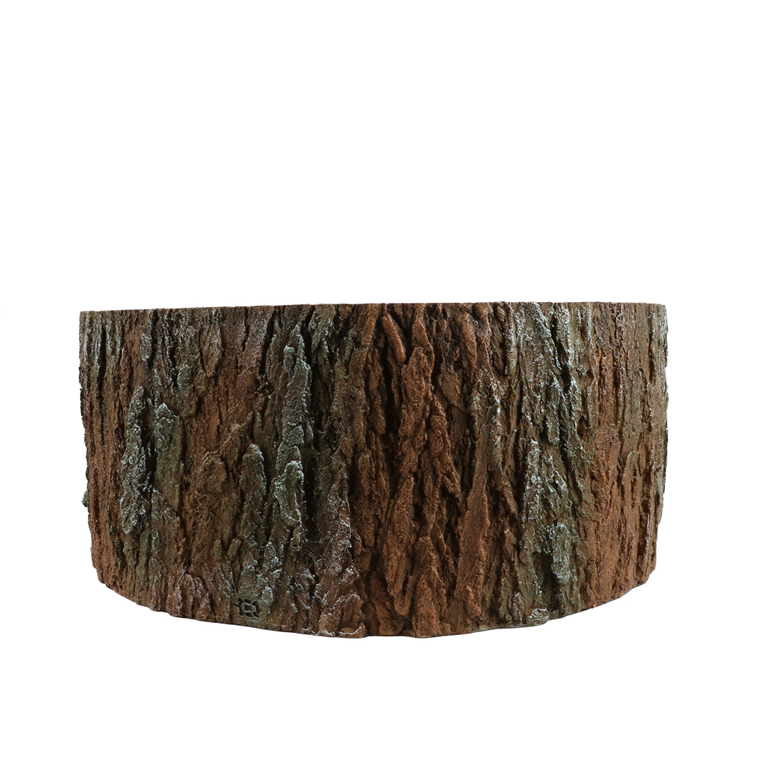 REPTILE NESTING CAVE TREE BROWN