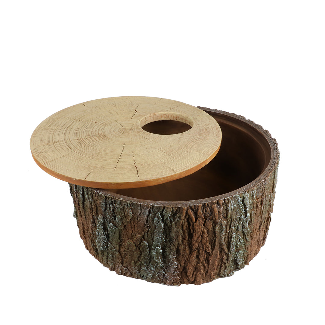 REPTILE NESTING CAVE TREE BROWN
