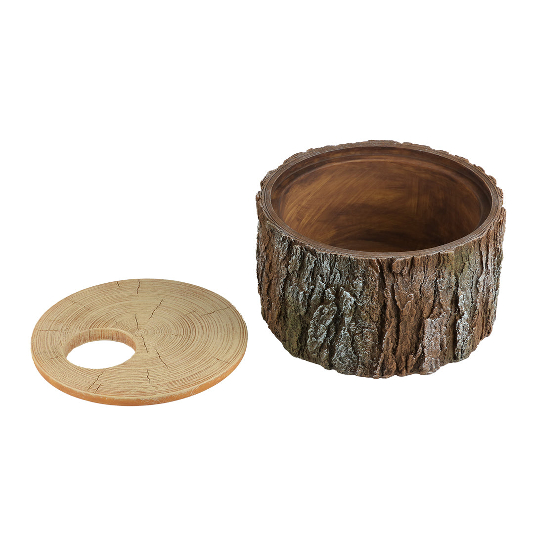 REPTILE NESTING CAVE TREE BROWN
