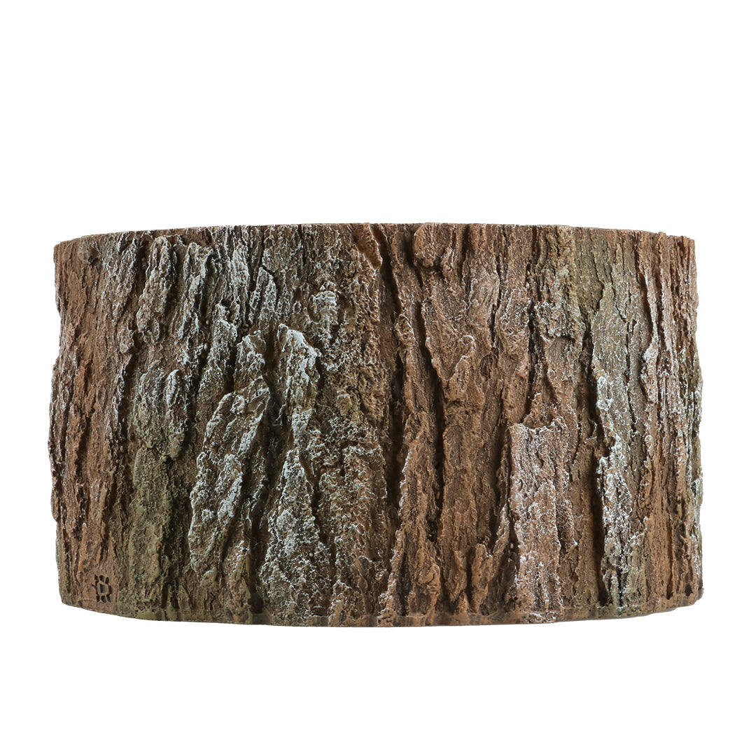 REPTILE NESTING CAVE TREE BROWN
