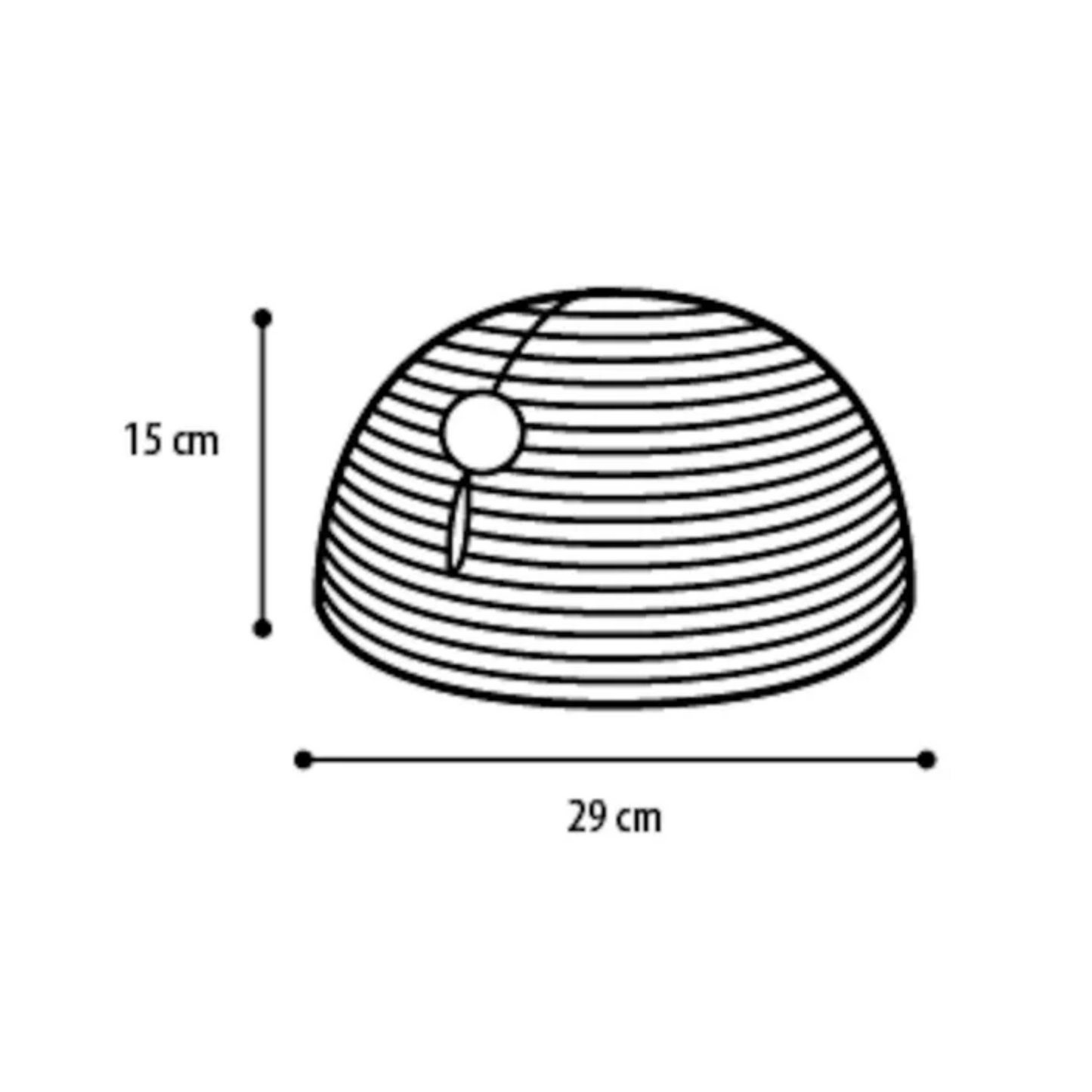 SCRATCHING DOME SEAGRASS DIA