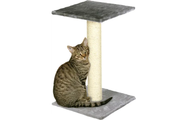 SCRATCH POLE SCOLETTE GREY