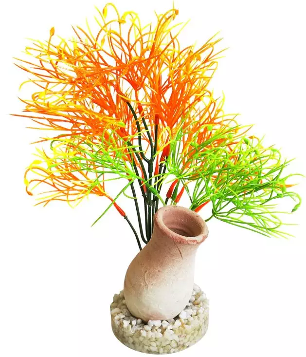 ΒΑΖΟ EXOTIC GRASS