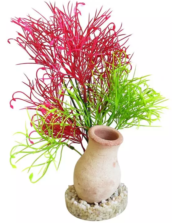 ΒΑΖΟ EXOTIC GRASS