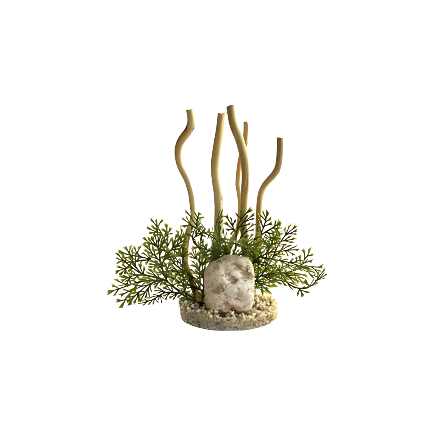 AQUA BRANCH CORAL REEF