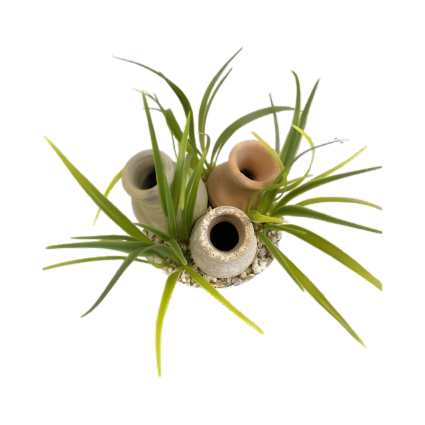 DÉCOR SHRIMP TRIO JAR H9cm