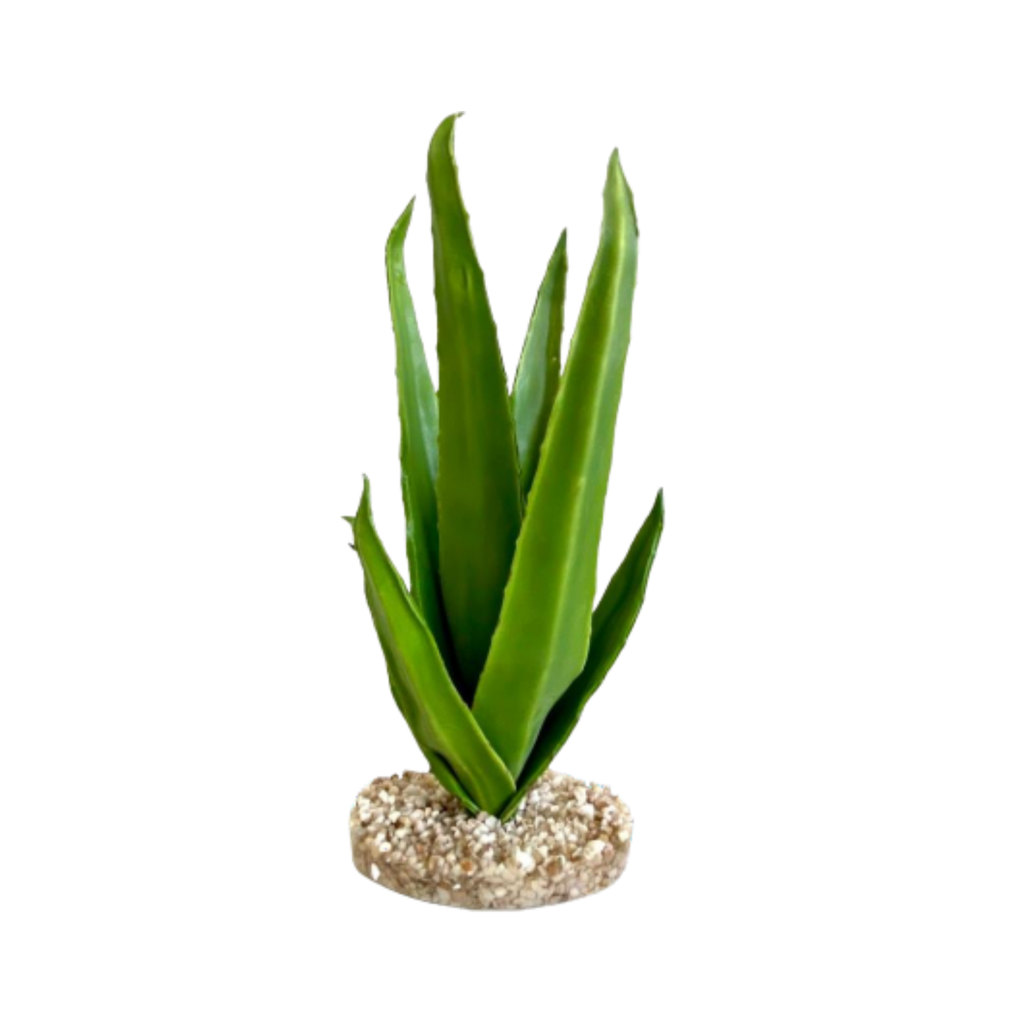 TERRA ALOE H29cm