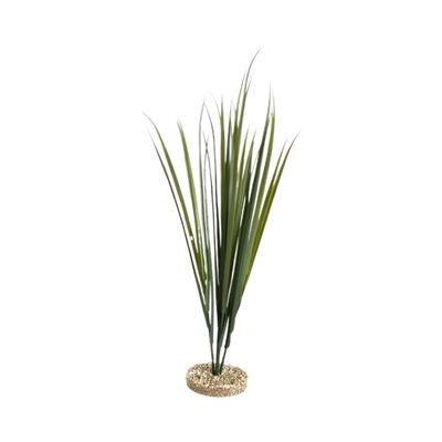 TERRA BRANCH PLANT H39cm