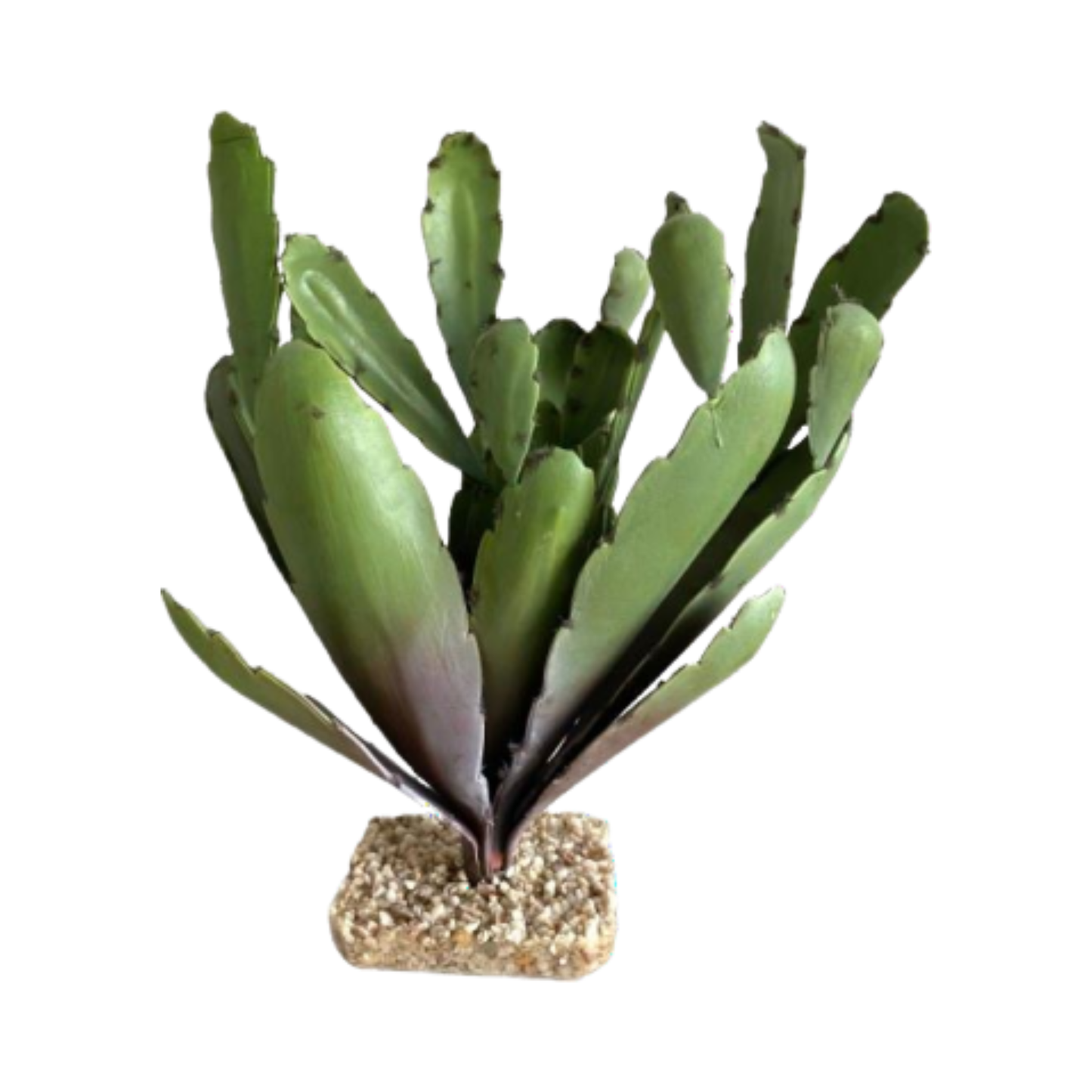 TERRA CACTUS H31cm