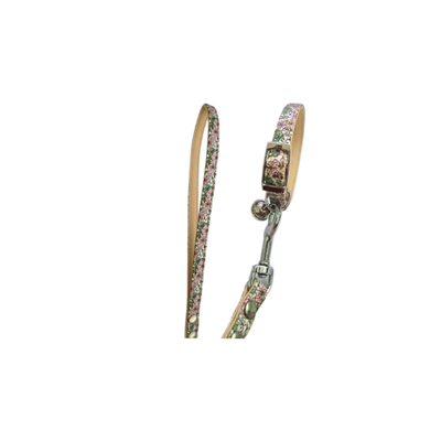CAT COLLAR & LEAD SET