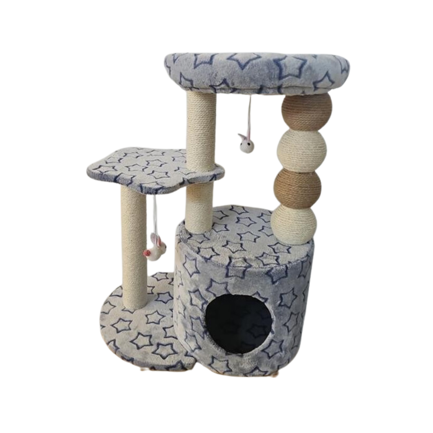 CAT SCRATCH WONDERLAND