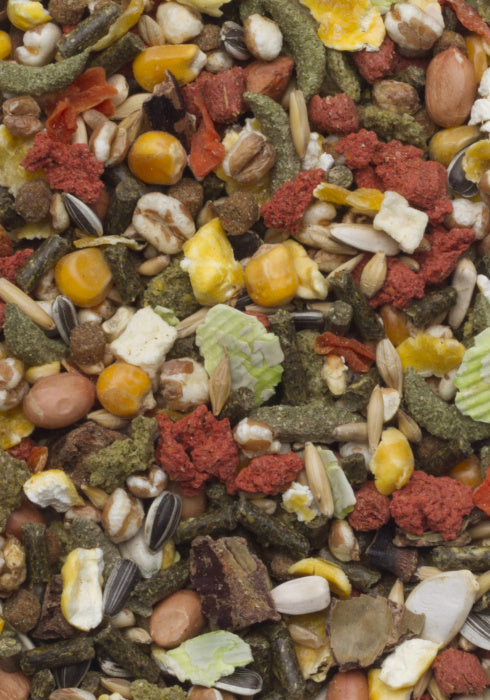 МЕЛКИЕ ГРЫЗУНЫ