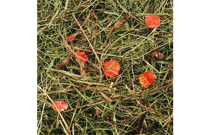 MOUNTAIN HAY WITH CARROT 500G