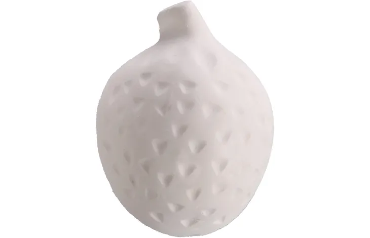 GNAWING STONES STRAWBERRY