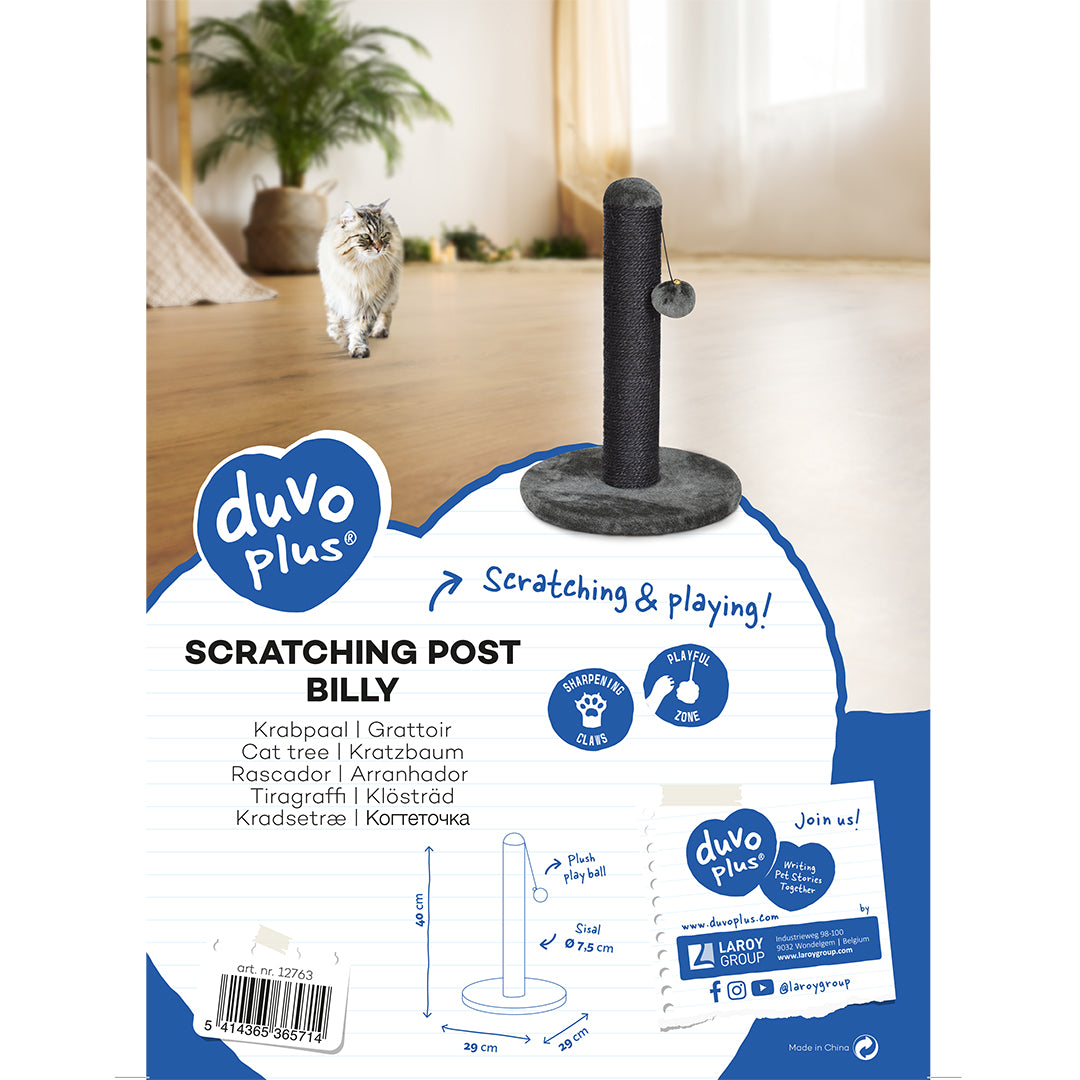 SCRATCHING POST BILLY