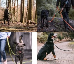 RUBBERIZED TRACKING-LEASH WITHOUT HANDLE BLACK