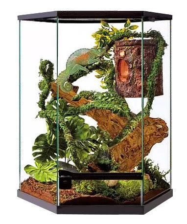 TROPICAL TERRARIUM SKH20