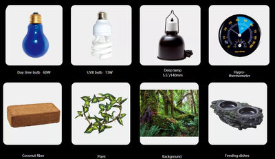 TROPICAL TERRARIUM SKT30