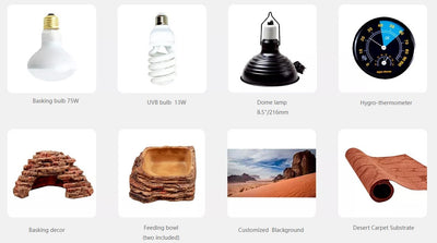 DESERT TERRARIUM SKD10