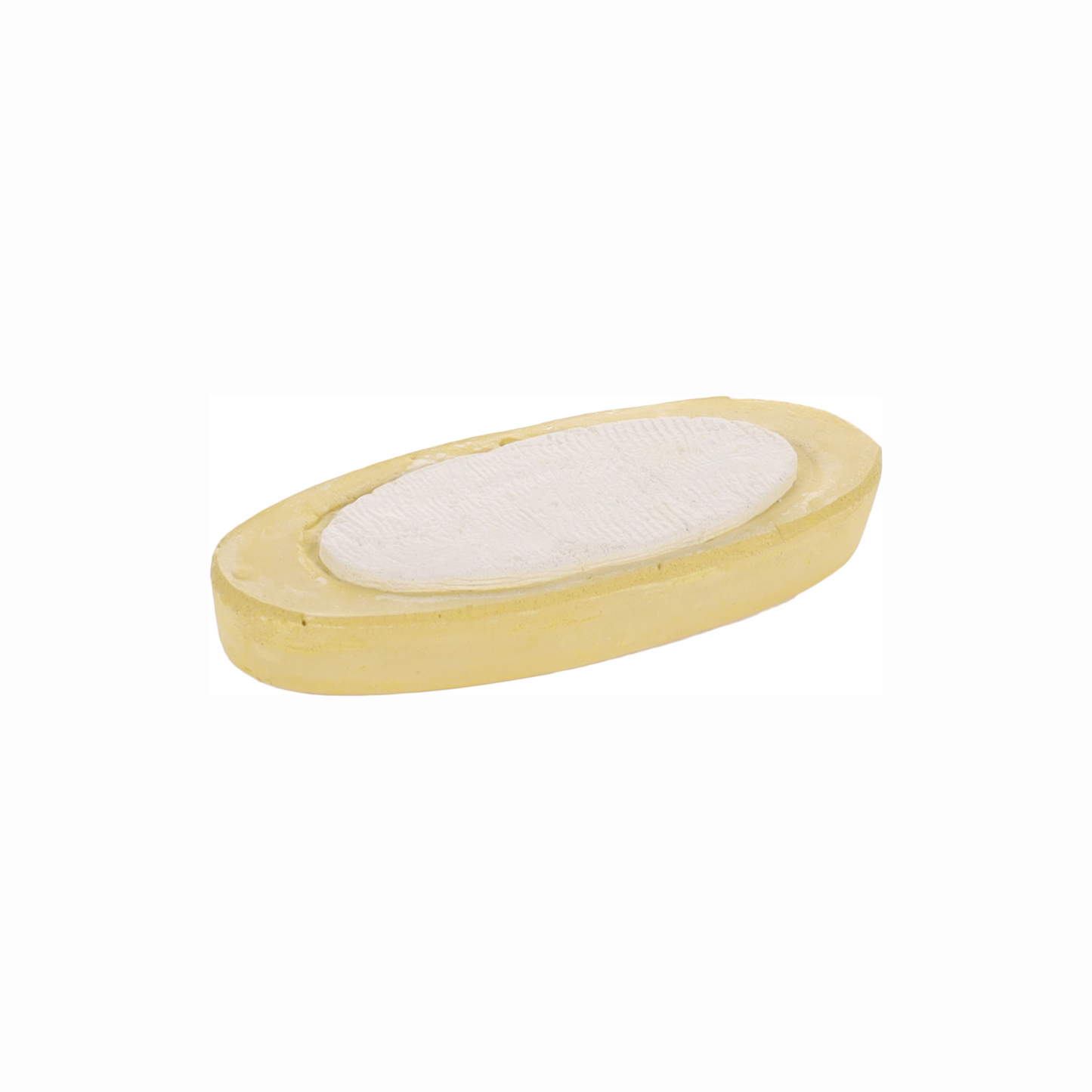SEPIA SHELL WITH BANANA FLAVOUR 12cm