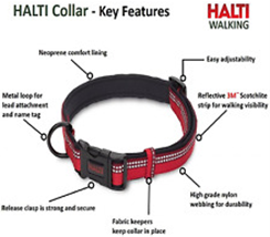 HALTI COLLAR LARGE