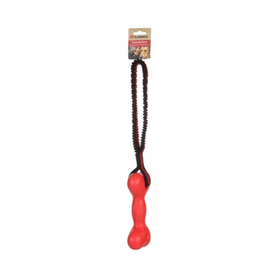 DOG TOY STREKTA + BUNGEE