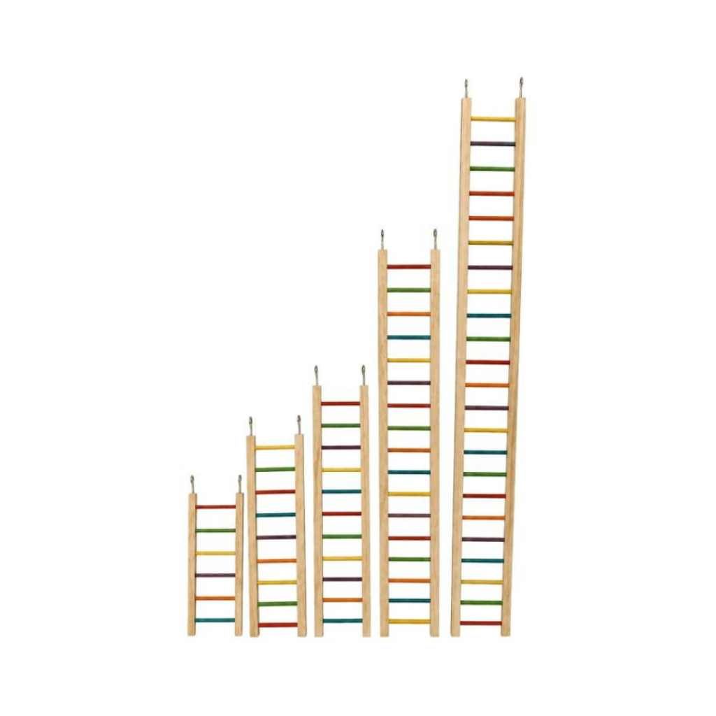BIRD TOY HAPPY LADDER