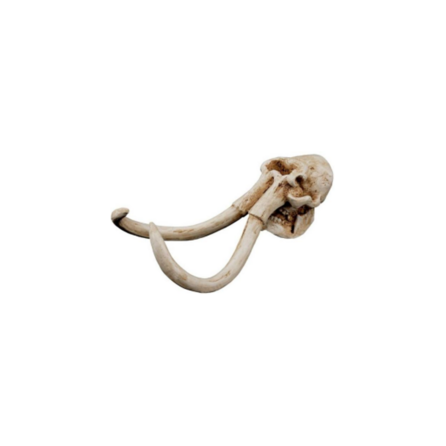 MAMMOTH SKULL DÉCOR