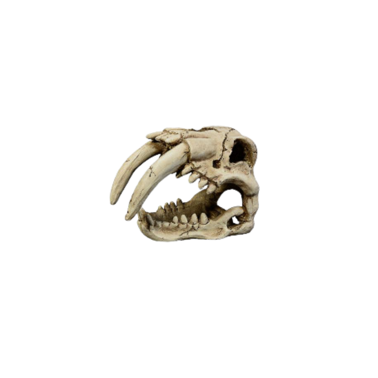 TIGER SKULL DECOR