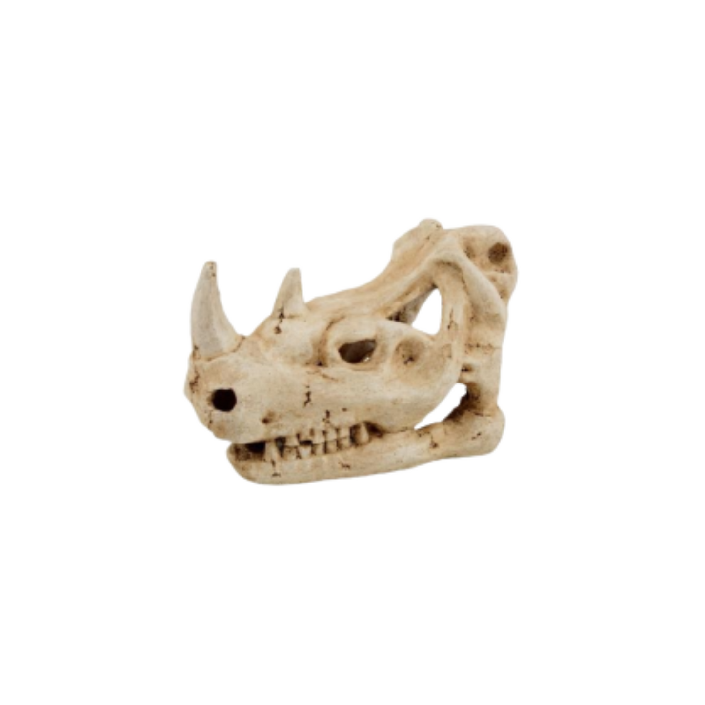RHINO DECOR