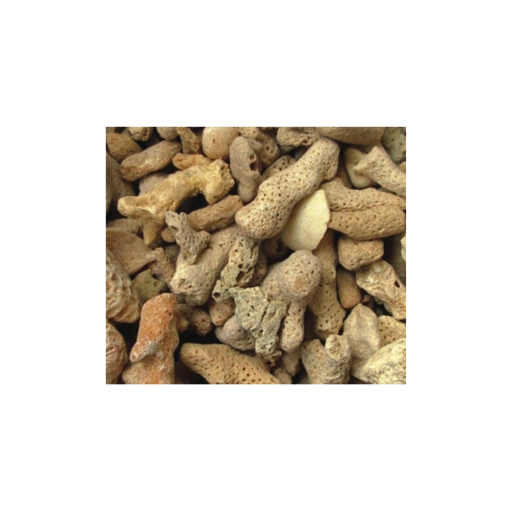 CORAL GRAVEL 2-4cm 25kg