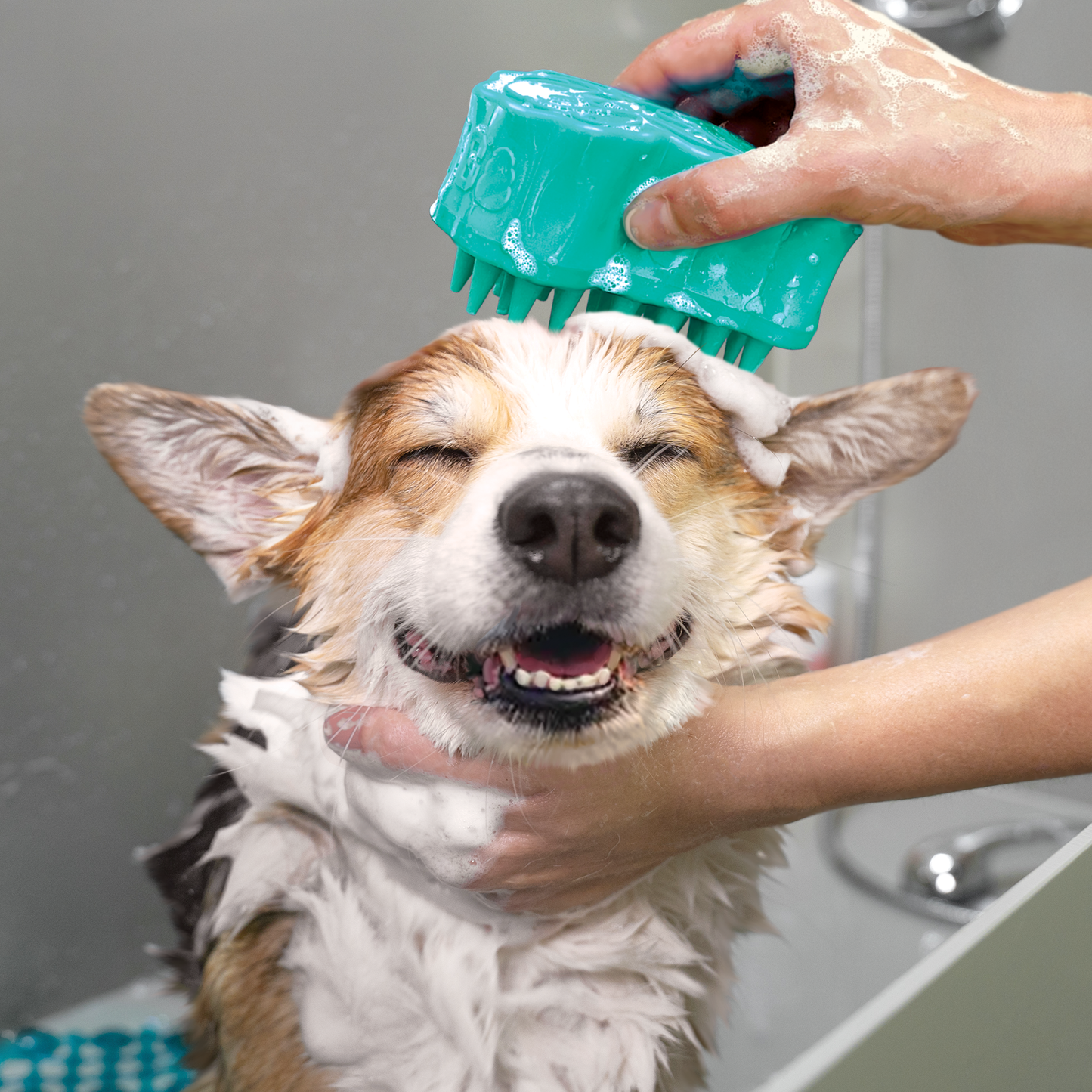ZOOMGROOM BUBBLES LG