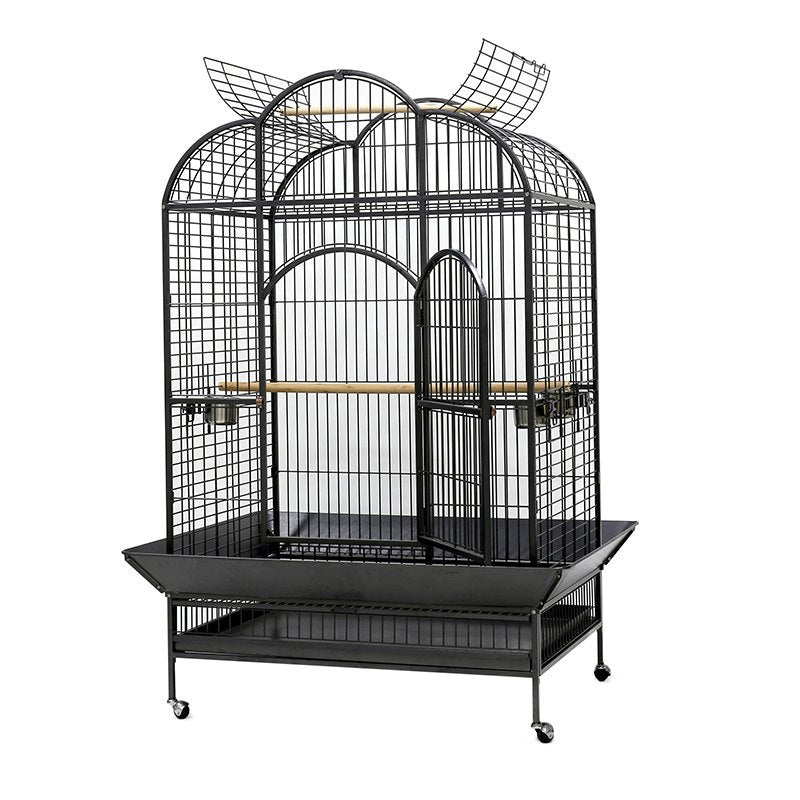 PARROT CAGE