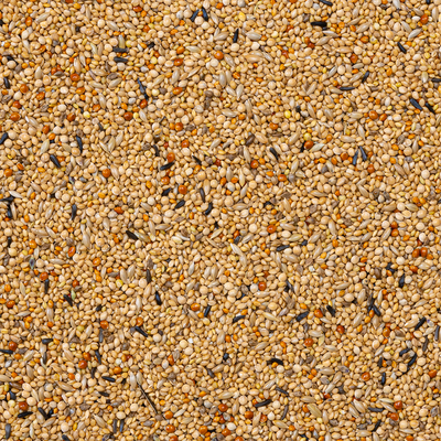 56-FOREIN FINCHES SUPER 20KG