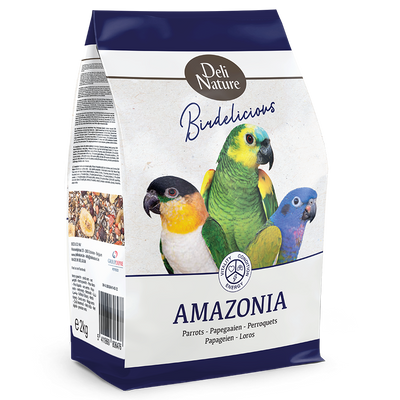 22-BIRDLICIOUS PARROT AMAZONIA