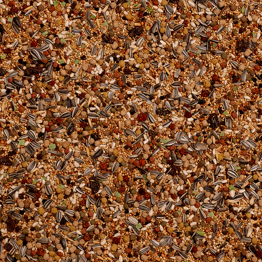 BIRDELICIOU PARAKEET AMAZON