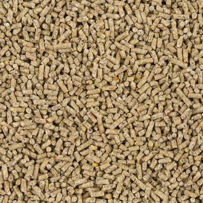 CHIX LAYING PELLET 20KG