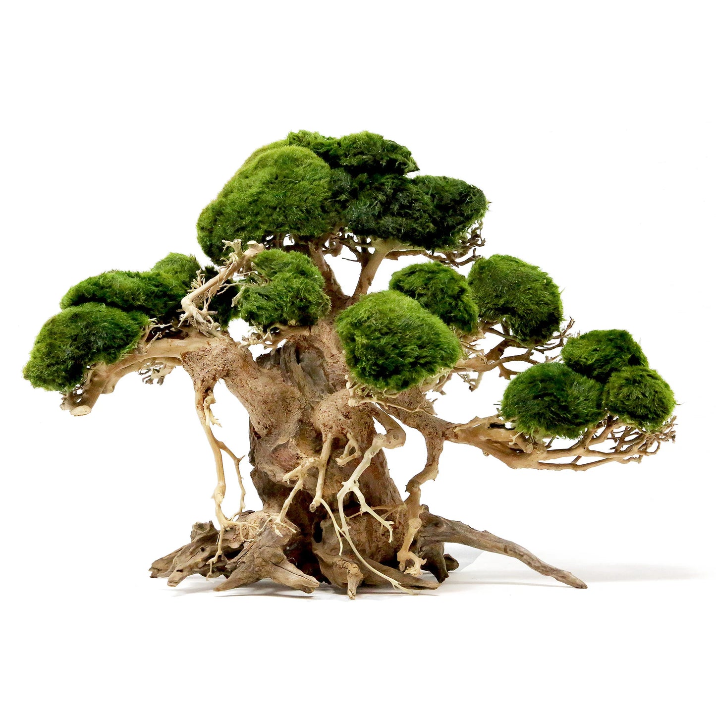 BONSAI DRIFTWOOD