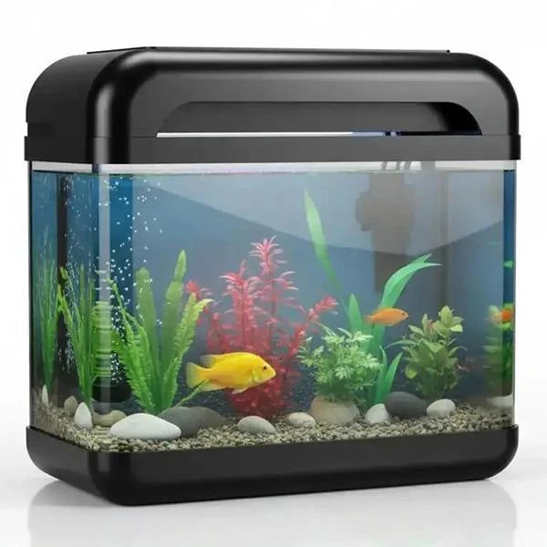 AQUARIUM RS