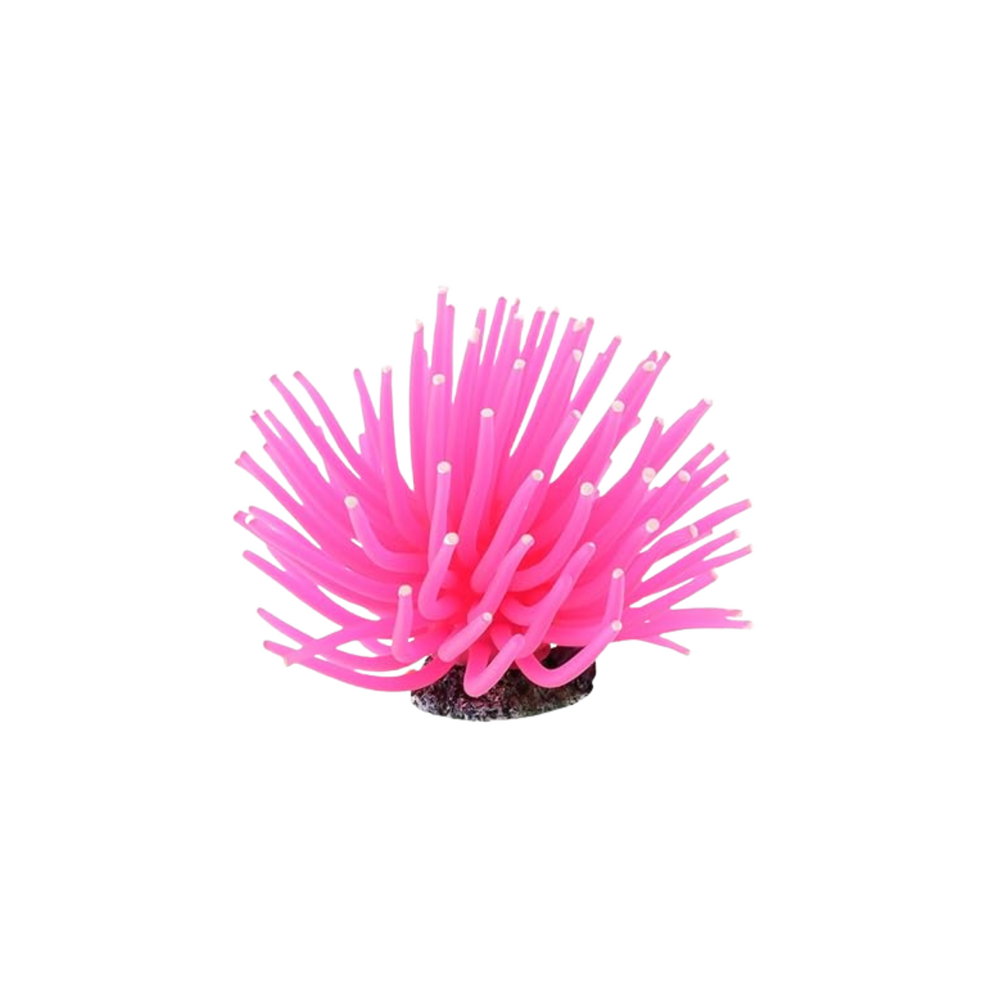 ANEMONE MEDIUM, AQUARIUM DÉCOR