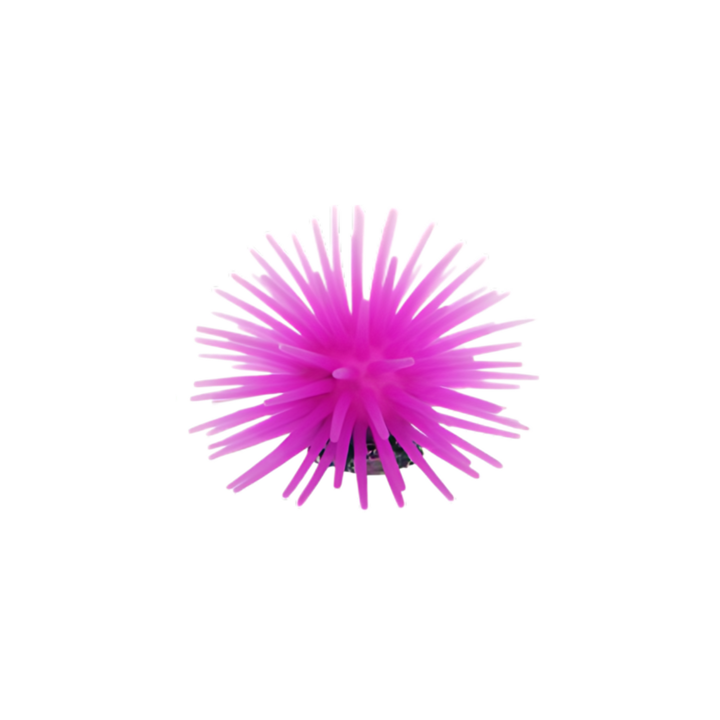 ANEMONE SMALL, AQUARIUM DÉCOR