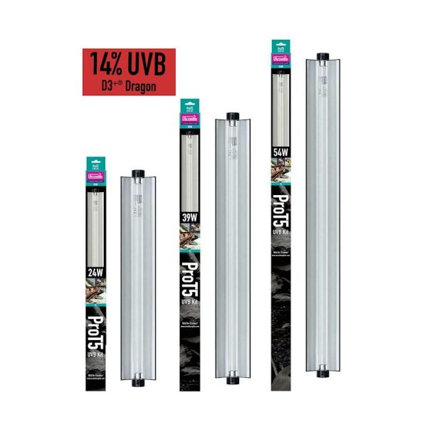 ARCADIA PRO T5 UVB KIT FOREST 14% UVB