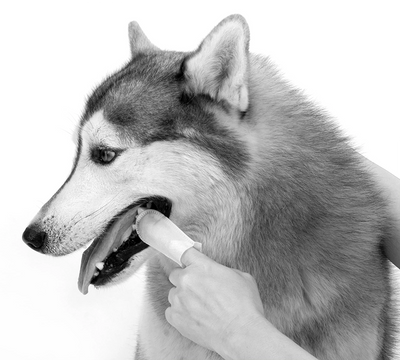 DISCS FOR PETS TEETH