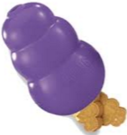 SENIOR KONG
