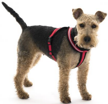 COMFY HARNESS RED