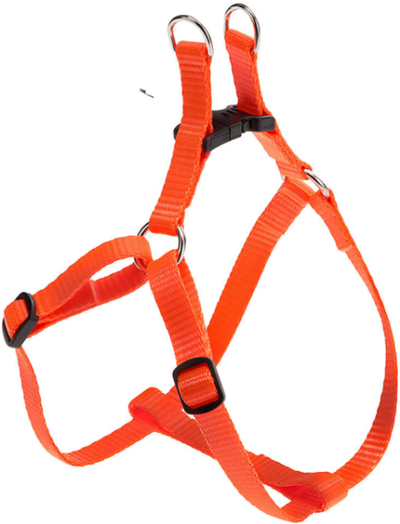 EASY P HARNESS