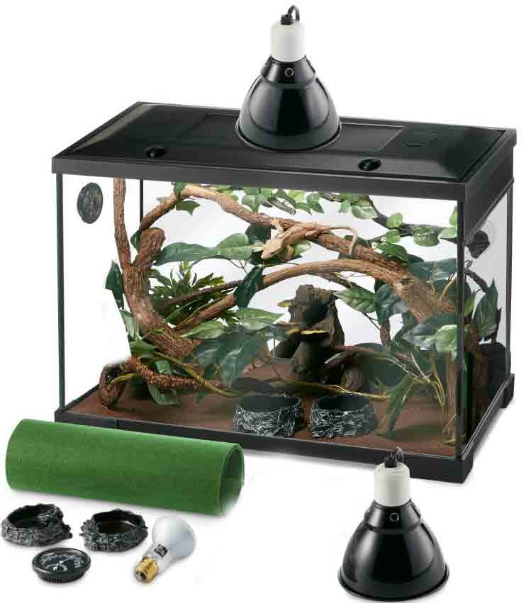 DESERT REPTILE STARTER KIT