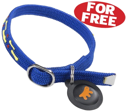 SWING MICROCHIP
